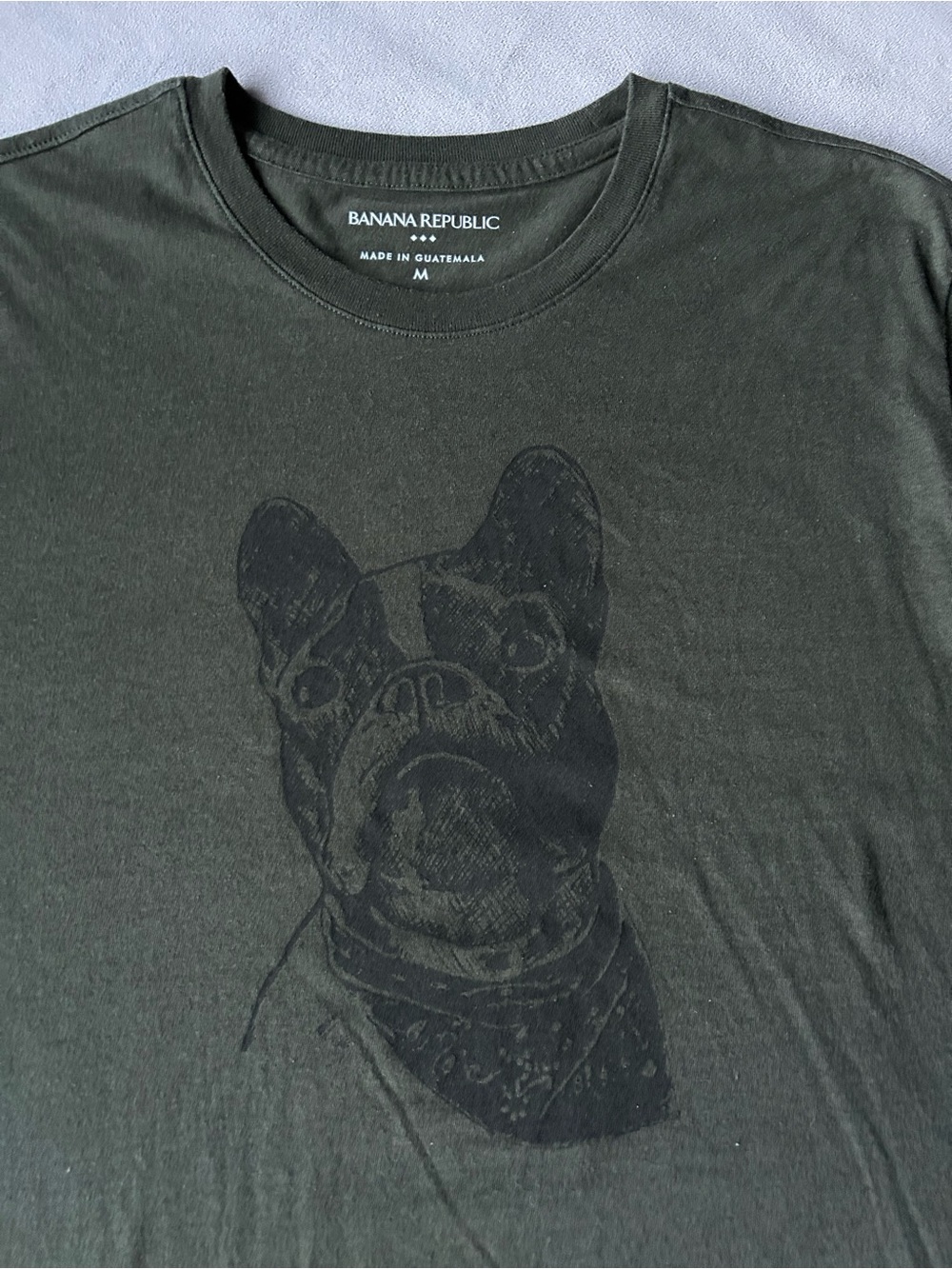 Banana Republic ~ Frenchie Graphic Tee ~ Men’s Size Medium ~ Olive Green